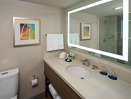 Junior Executive Club, Suite, 1 King