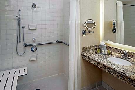1 King Mobility Hearing Accessible with Tub Non-Smoking