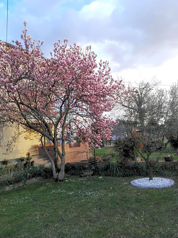 da Vanilla affittacamere