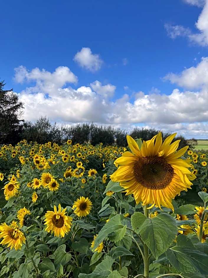Room 4 - Hawkraft kulturhotel