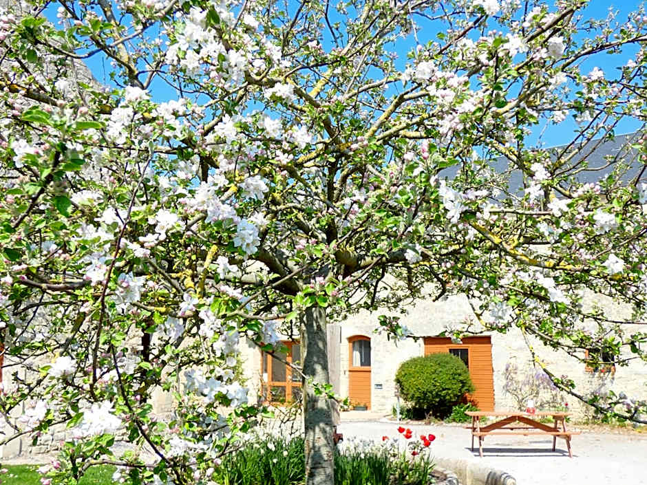 Hôtel Restaurant le clos de l 'Ancien Pressoir