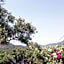 Bahar Bahce Datca