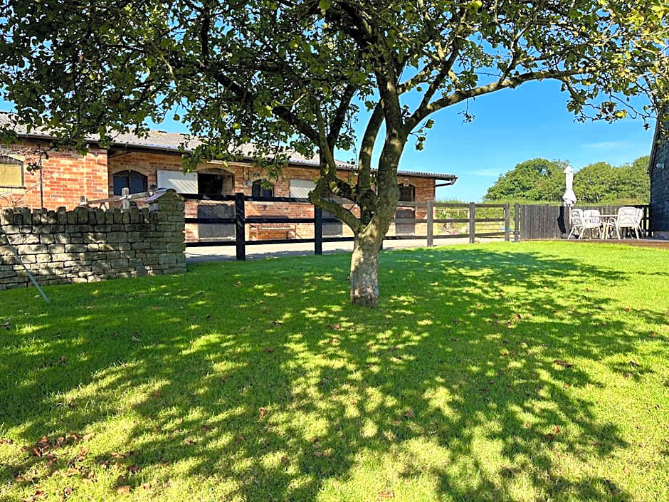 Priors Oak - A Cosy Studio with Countryside Views in Dorset