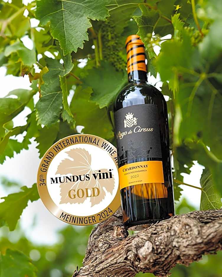 Hotel Pago De Cirsus