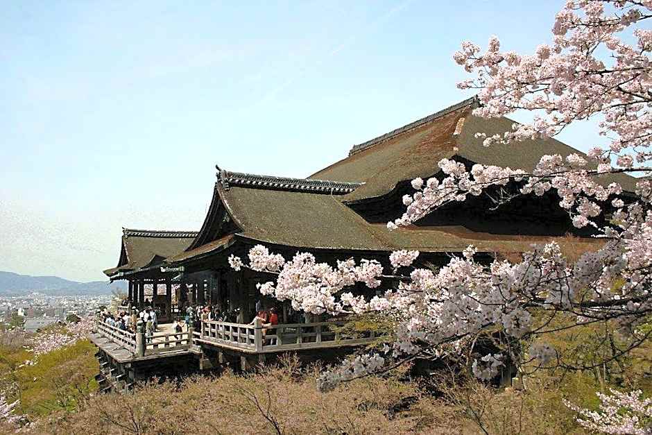 Stay Sakura Kyoto Dragon