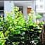 East of Love Homestay