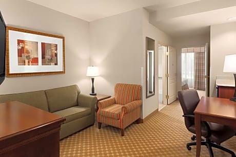 1 King Bed Suite Nonsmoking