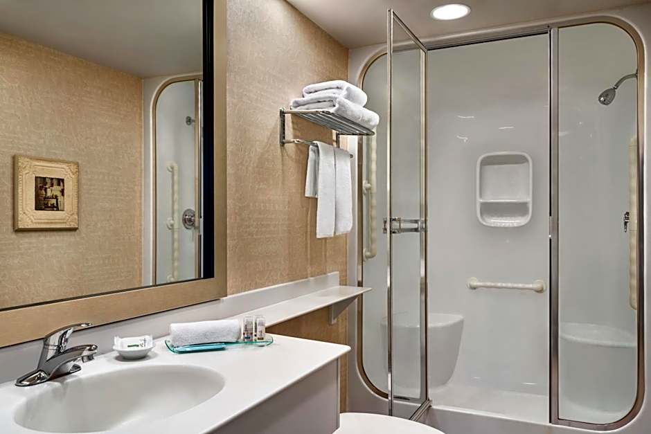 Royal Hotel West Edmonton, Trademark Collection by Wyndham