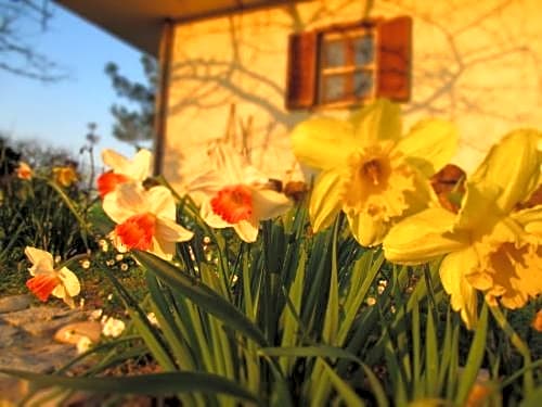 Bed And Breakfast Casale Isorella