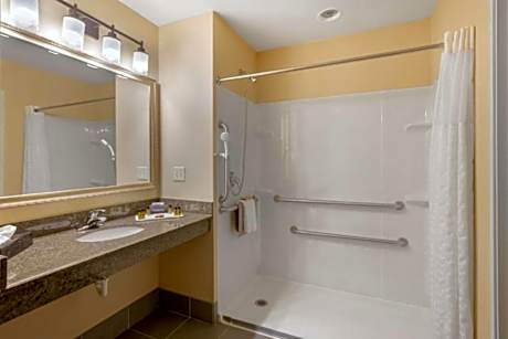 Suite-1 King Bed, Communication Assistance, Sofabed, Non-Smoking, Full Breakfast