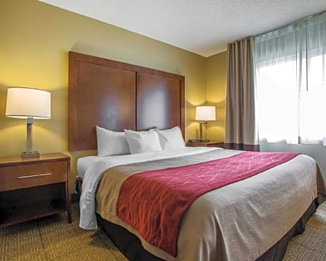 1 King Bed, Nonsmoking