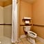 Holiday Inn Express Hotel & Suites Elk Grove Ctrl - Sacramento S By IHG