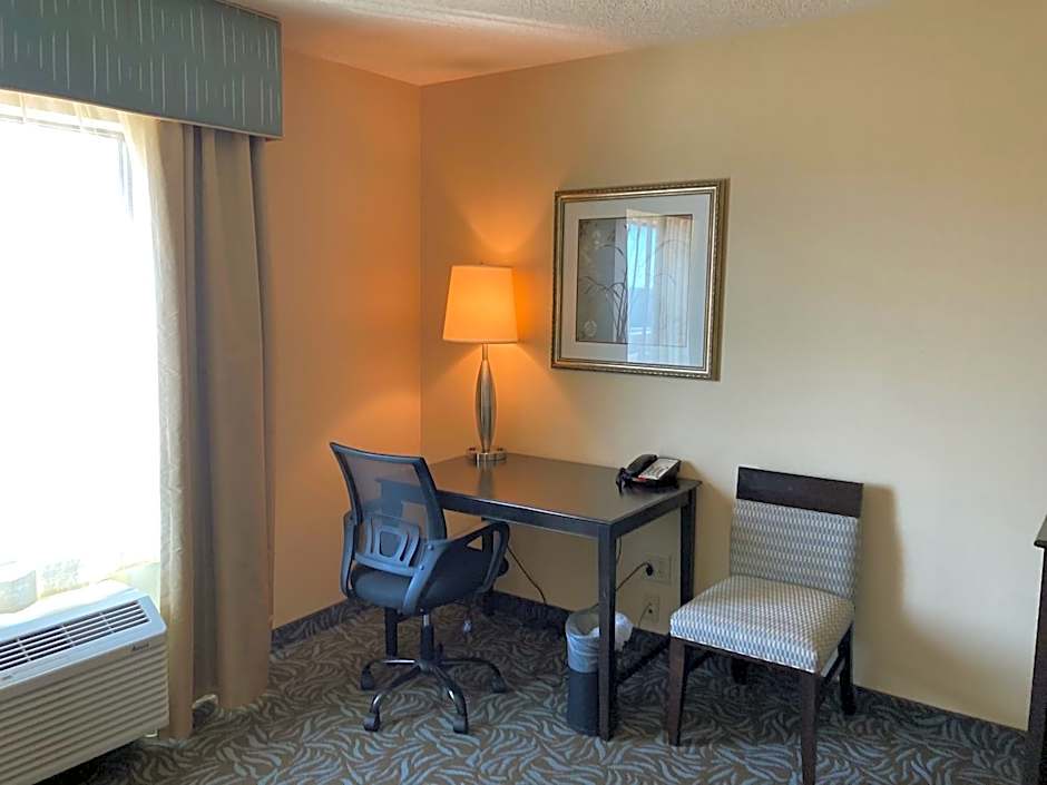 Hampton Inn By Hilton & Suites Carlsbad