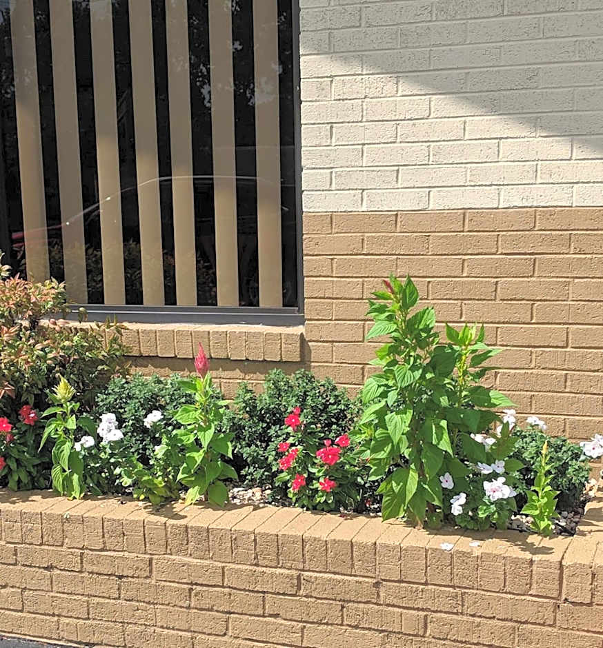 Loyalty Inn Rockingham