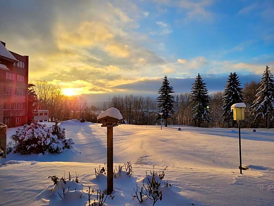 Harz Hotel Vogelberg