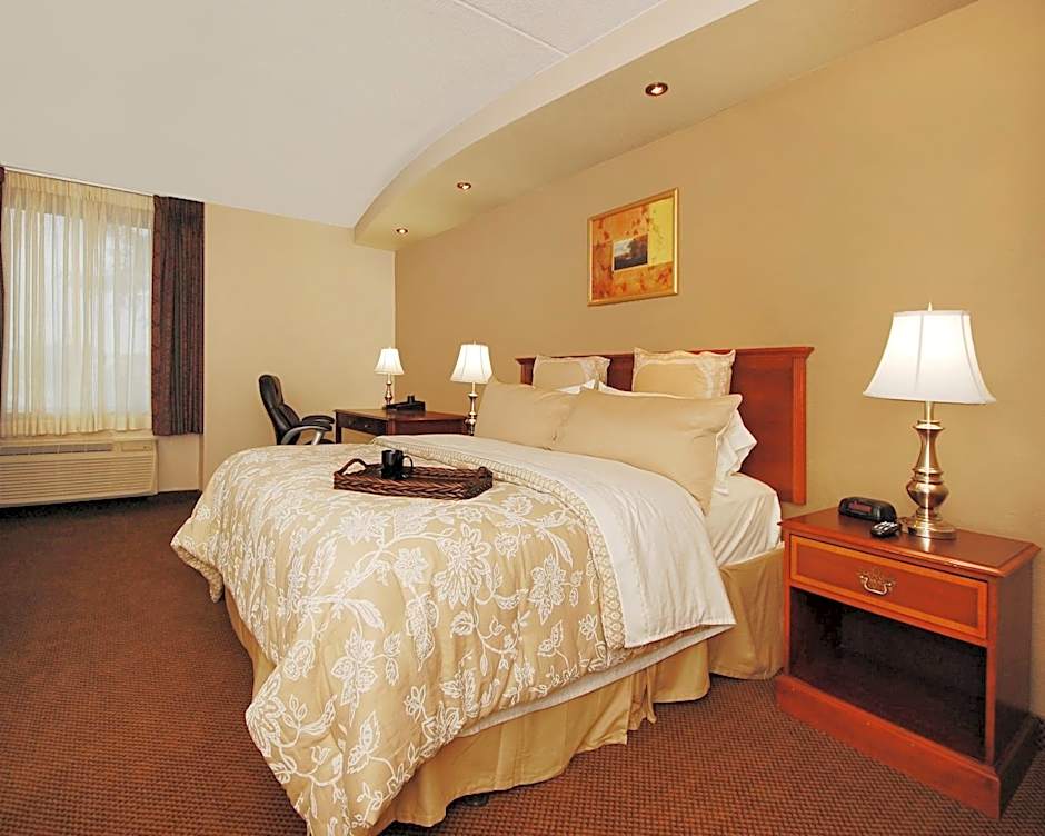 Plaza Inn & Suites