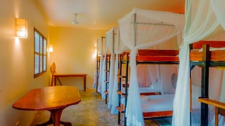 Bed in 8-Bed Mixed Dormitory Room
