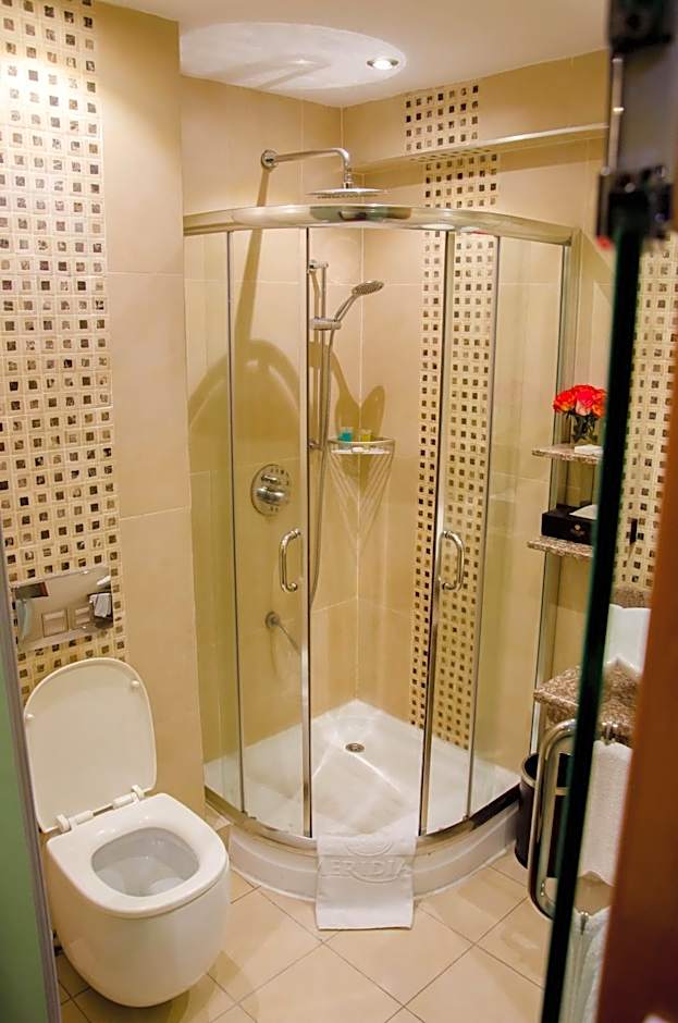 Best Western Plus Meridian Hotel