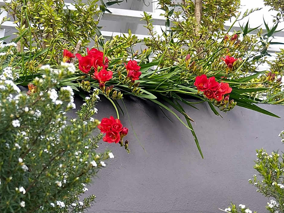 C'est La Vie Bed & Breakfast