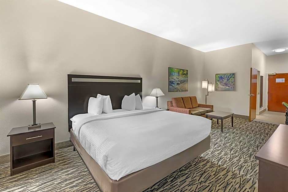 Best Western Plus McDonough Inn & Suites