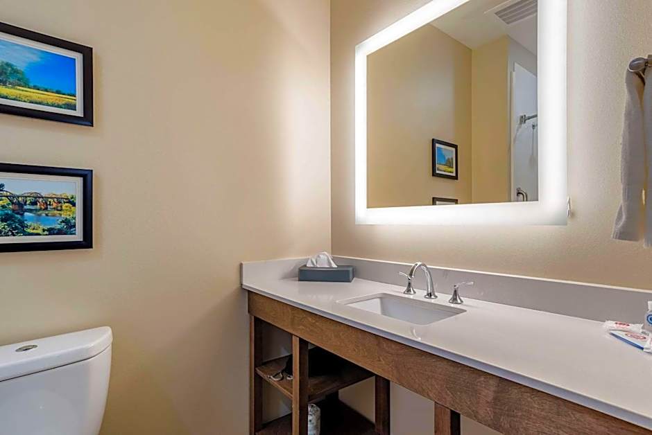 Comfort Inn & Suites Downtown near University