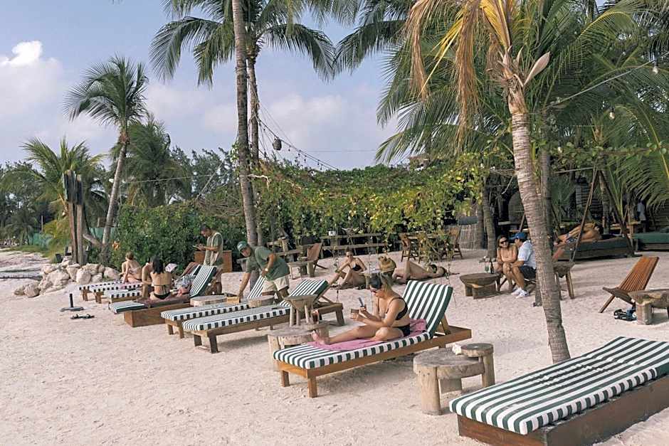 Mayan Monkey Isla Mujeres - Social Hotel