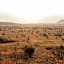 Lush Private Game Lodge