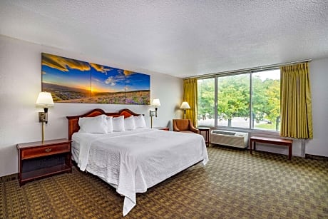 King Room - Disability Access/Non-Smoking