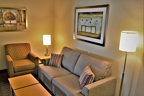 Suite-1 King Bed, Non-Smoking, Kitchenette, Microwave And Refrigerator, Pillowtop Bed, Sofabed