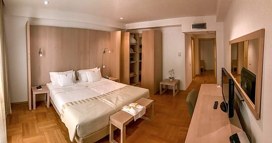 Hotel Satu Mare City