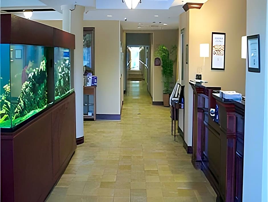 Holiday Inn Express & Suites Tavares By IHG