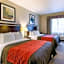 Comfort Inn & Suites Winnie