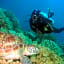 AivyMaes Divers Resort