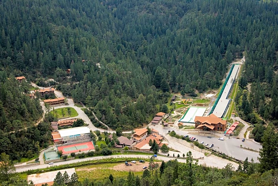 Bosques de Monterreal