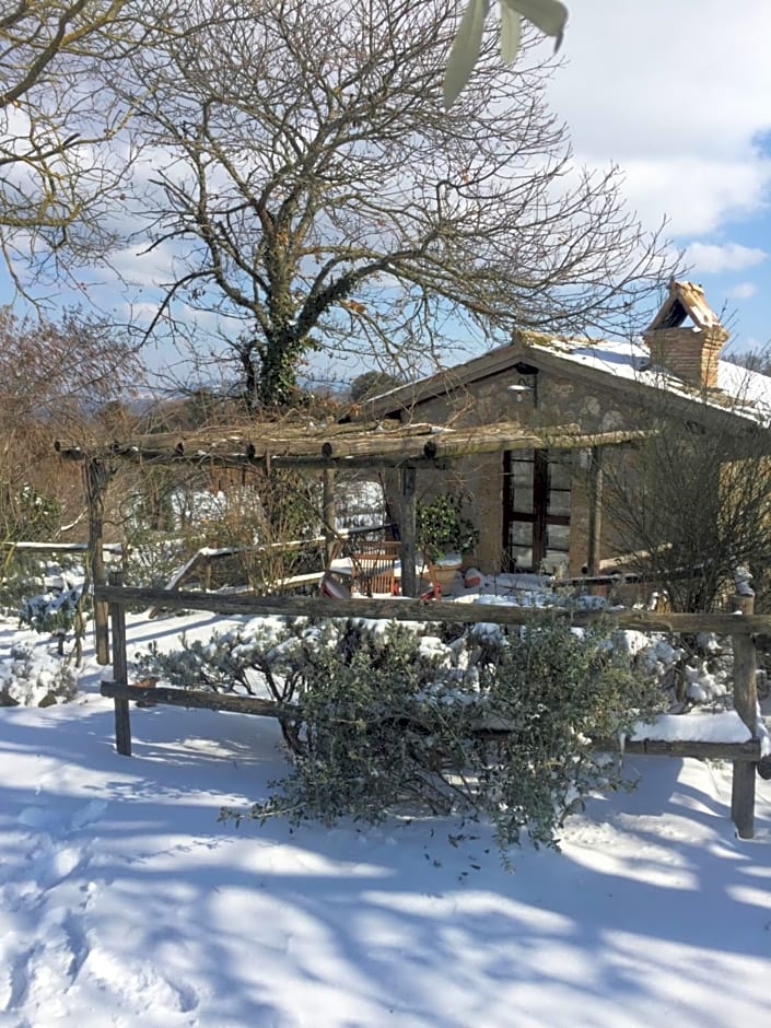 Agriturismo La Cervaiola Piccola dimora di Campagna