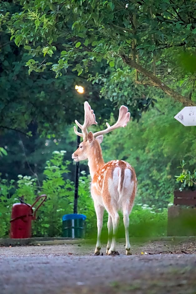 Polonezköy Country Club