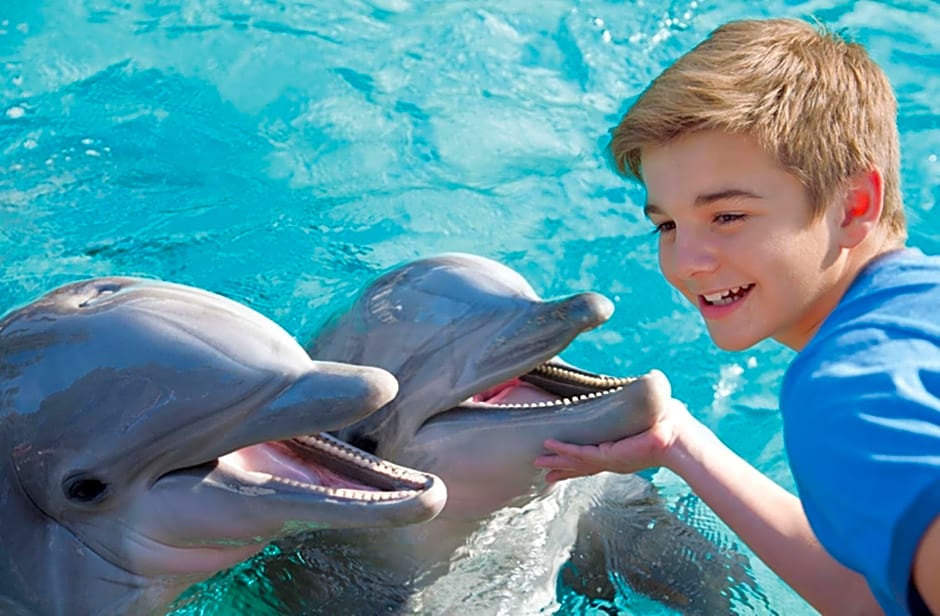 Holiday Inn Express San Diego - Sea World Area By IHG