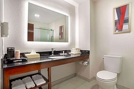 King Room - Disability Access/Non-Smoking