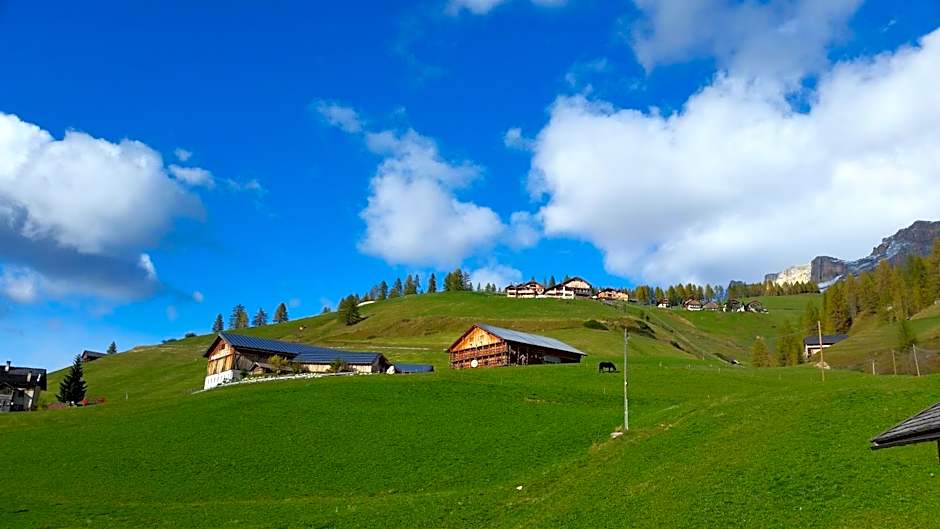 Family and Wellness Residence Ciasa Antersies