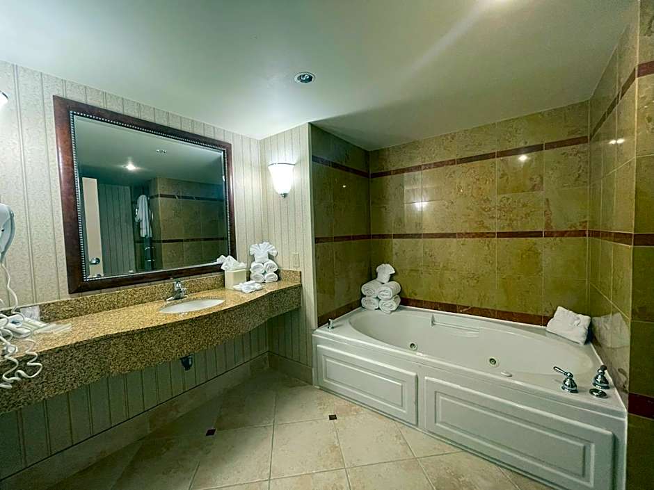 ACP Hotel Houston Westchase MOD Collection by Sonesta