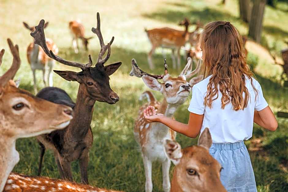 Natur- und Wohlfühlhotel Kastenholz