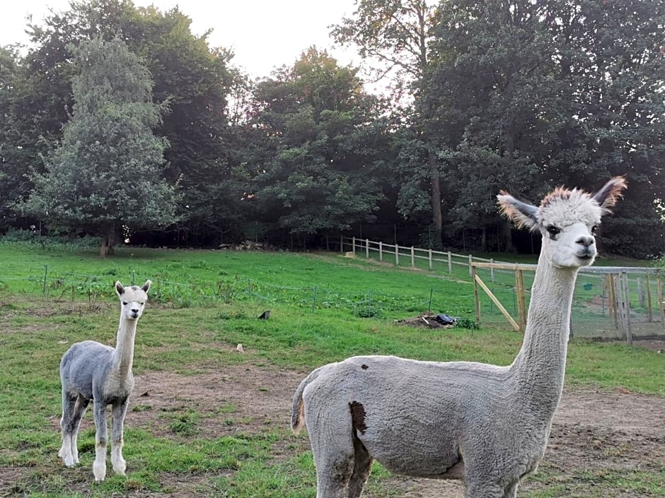 Chart House Bed and Breakfast