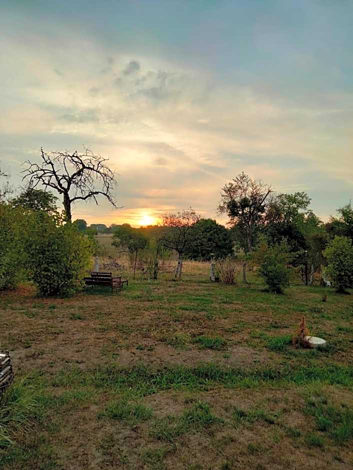 La Maison du Notaire - Chambre d'Hôtes - Huisdieren welkom