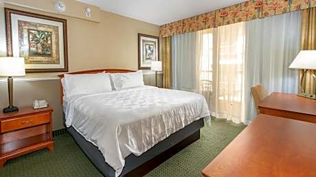 1 Bedroom Suite 1 King Balcony