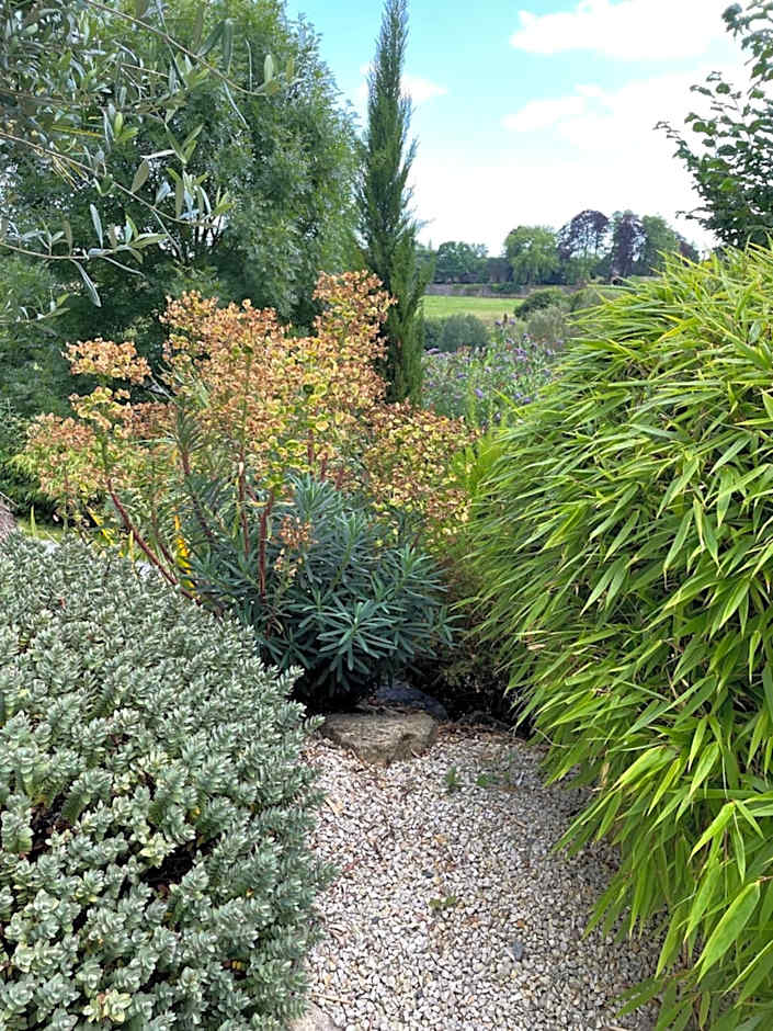 Les sapins verts -inspiration deluxe