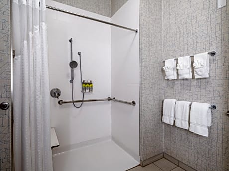 2 Queen Standard Mobility Accessible Tub