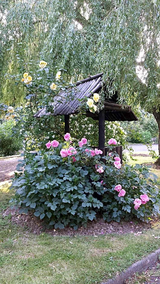 Riverfield Bed and Breakfast