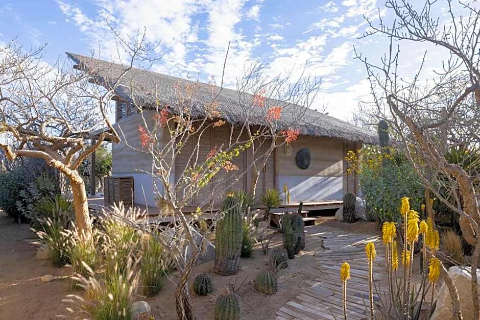 El Perdido Desert Dream- Todos Santos Adults Only