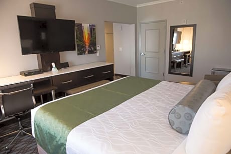 King Suite with Sofa Bed and Roll-In Shower - Disability Access/Non-Smoking