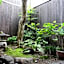 Guesthouse Kioto